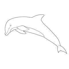 Obraz premium sketch, contour, dolphin swims, coloring book