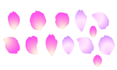 桜の花びら（ベクター素材）