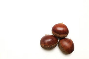 Chestnut close-up