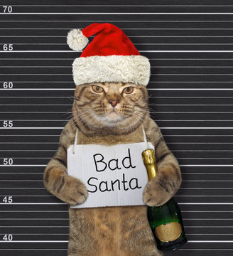 Cat bad Santa with wine in prison 2