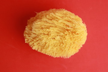 natural sponge for baby bath, yellow