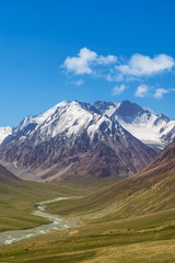Majestic snow capped mountain peak with green alpine meadows