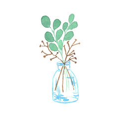 illustration hand draws glass jar and eucalyptus bouquet. Watercolor eucalyptus branches isolated on a white background. For design, print, and decoration.