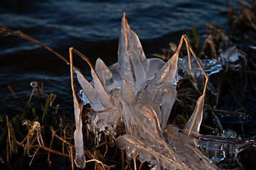 Eiszapfen an einem Seeufer, die Schilf umhüllen im Abendlicht