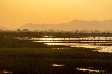 Sunset golden hour Peaceful sunset at small lake in Thailand with a mountain in the background.