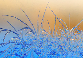 Natural pattern on glass at dawn of the sun.