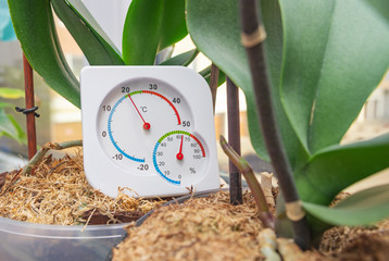 Thermometer and hygrometer to monitor optimal conditions for growing houseplants on windowsill in winter time. Selective focus, close-up. - obrazy, fototapety, plakaty