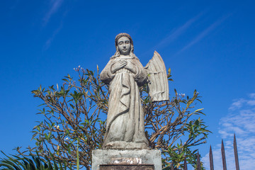 Fototapeta premium fallen angel in the cemetery