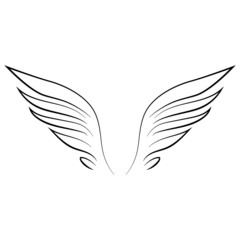 Fototapeta na wymiar Wings on white background vector illustration hand draw desing