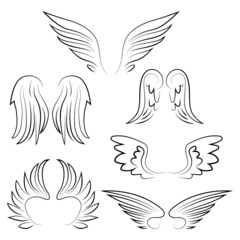 Wings set on white background vector illustration hand draw desing