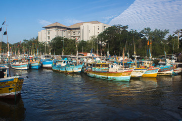 NEGOMBO, SRI LANKA - December 05, 2017. Opening a fish market in Negombo.