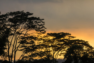 sunset view at the park