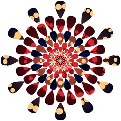 Abstract radial geometric pattern of the flower