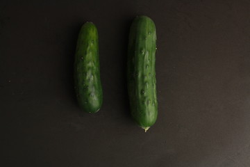 cucumber grown in Spain on colored background