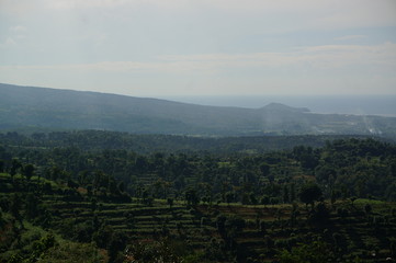 Plateau with a few trees under the foot of the mountain and was once a wilderness	
