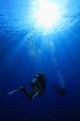 Scuba divers in the blue water