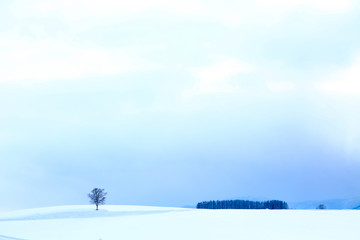 Fototapeta na wymiar 北海道の雪景色 