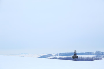 北海道の雪景色	