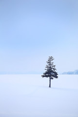 北海道の雪景色	