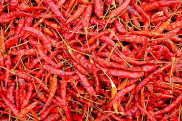 Fototapeta premium Dried red hot chilli peppers background.