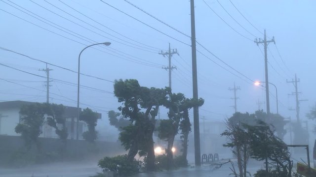 Car Drives In Raging Hurricane Wind - Fitow