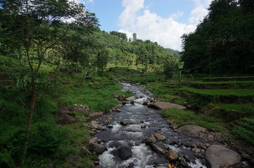 rivers with a fairly heavy flow and water sources from the mountains have a clear flow of clean water