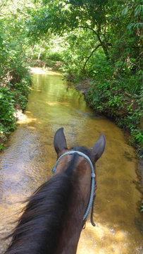 Pferdeohren Fliegenschleier Gehäkelt | 30 Farben | Größen: Pony, Cob, Full | Baumwolle