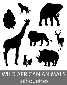Set of wild african animals silhouettes. Activity book picture.