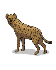 African savannah standing hyena isolated in cartoon style. Educational zoology illustration, coloring book picture.