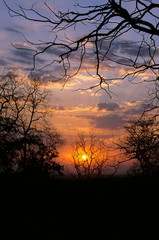 Sunrise at Tadoba National Park, Maharashtra, India 