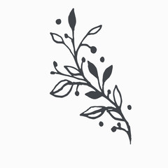 Tiny Leaves Plants Hand drawn vector illustration for logo, invitations, graphic design