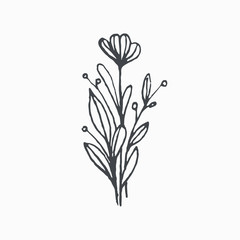 Fototapeta na wymiar Tiny Leaves Plants Hand drawn vector illustration for logo, invitations, graphic design