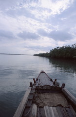 Fototapeta na wymiar Sunderbans, largest mangrove delta in world. West Bengal