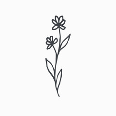 Tiny Leaves Plants Hand drawn vector illustration for logo, invitations, graphic design