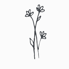 Tiny Leaves Plants Hand drawn vector illustration for logo, invitations, graphic design