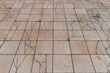 Flooring in completely ruined pink tiles - Broken floor