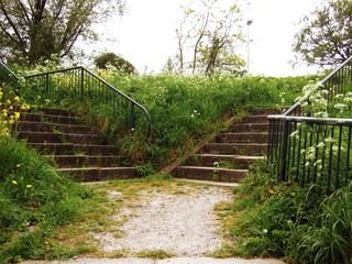 Fototapeta na wymiar stairs in the park