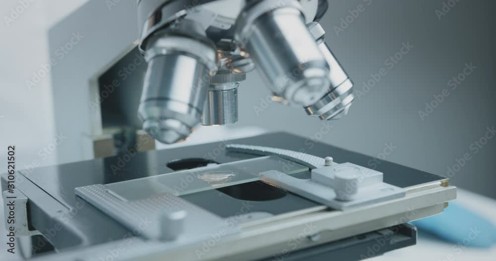 Wall mural close up shot of the scientist studies examining of test sample under the microscope in laboratory.