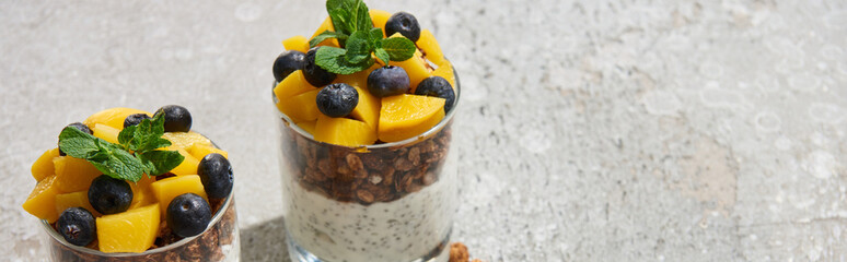 tasty granola with canned peach, blueberries and yogurt with chia seeds on grey concrete surface, panoramic shot