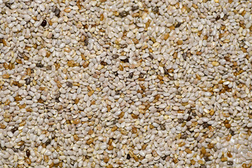 Macro shot of white organic chia seeds that are source of essential fatty acids and fiber. Superfood concept.