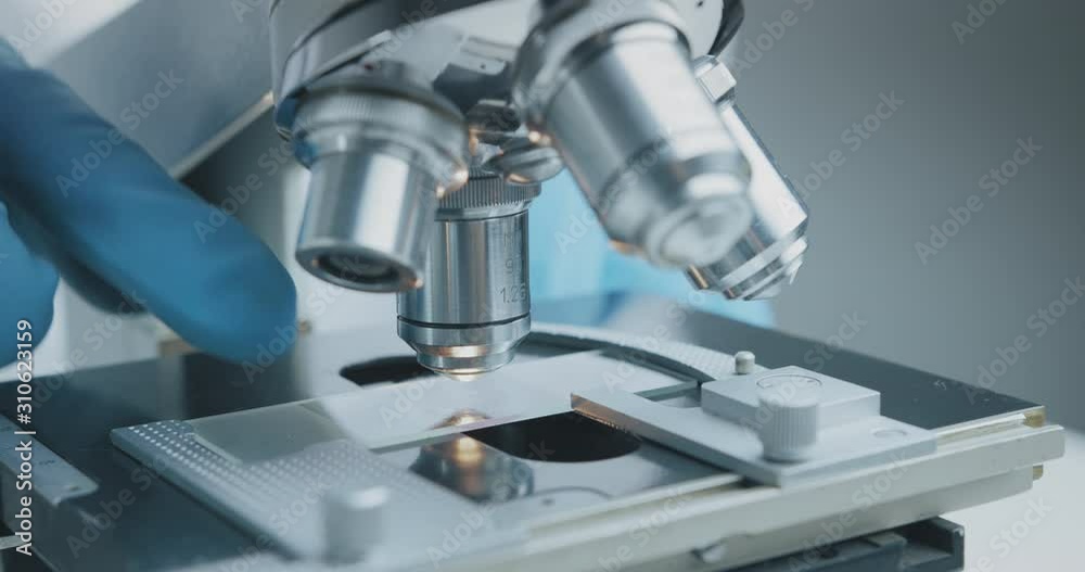 Wall mural close up shot of the scientist studies examining of test sample under the microscope in laboratory.