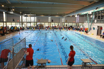 people in swimming pool