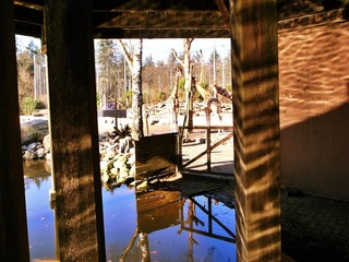 beautiful park in netherlands