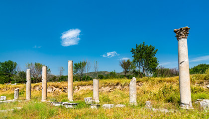 Ruins of Aphrodisias in Turkey