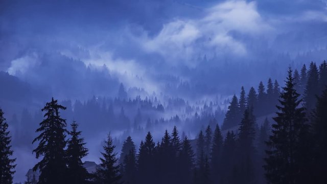 Day to night timelapse of misty fog blowing over mountains with pine tree forest