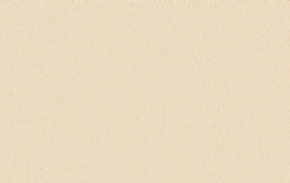 Plain Wooden Background