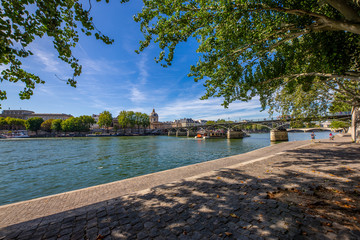 le pont des arts et l'institut de France