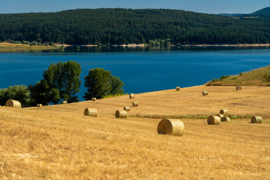 Summer landscape along the road to Camigliatello, Sila. Cecita lake