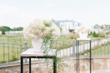 Wedding decor: white hydrangea in a white vase at the wedding