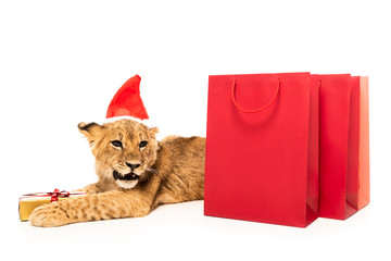cute lion cub in santa hat near golden gift and red shopping bags isolated on white